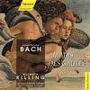 Helmuth Rilling - Amadis de Gaule, W. G39:t III Scene VII: Junge Herzen, die Amor bindet (Amadis, Chorus, Oriane)