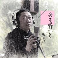 舍不得你走 - 覃飞宇 ( 48khz 192kbps 15伴奏网16khz )