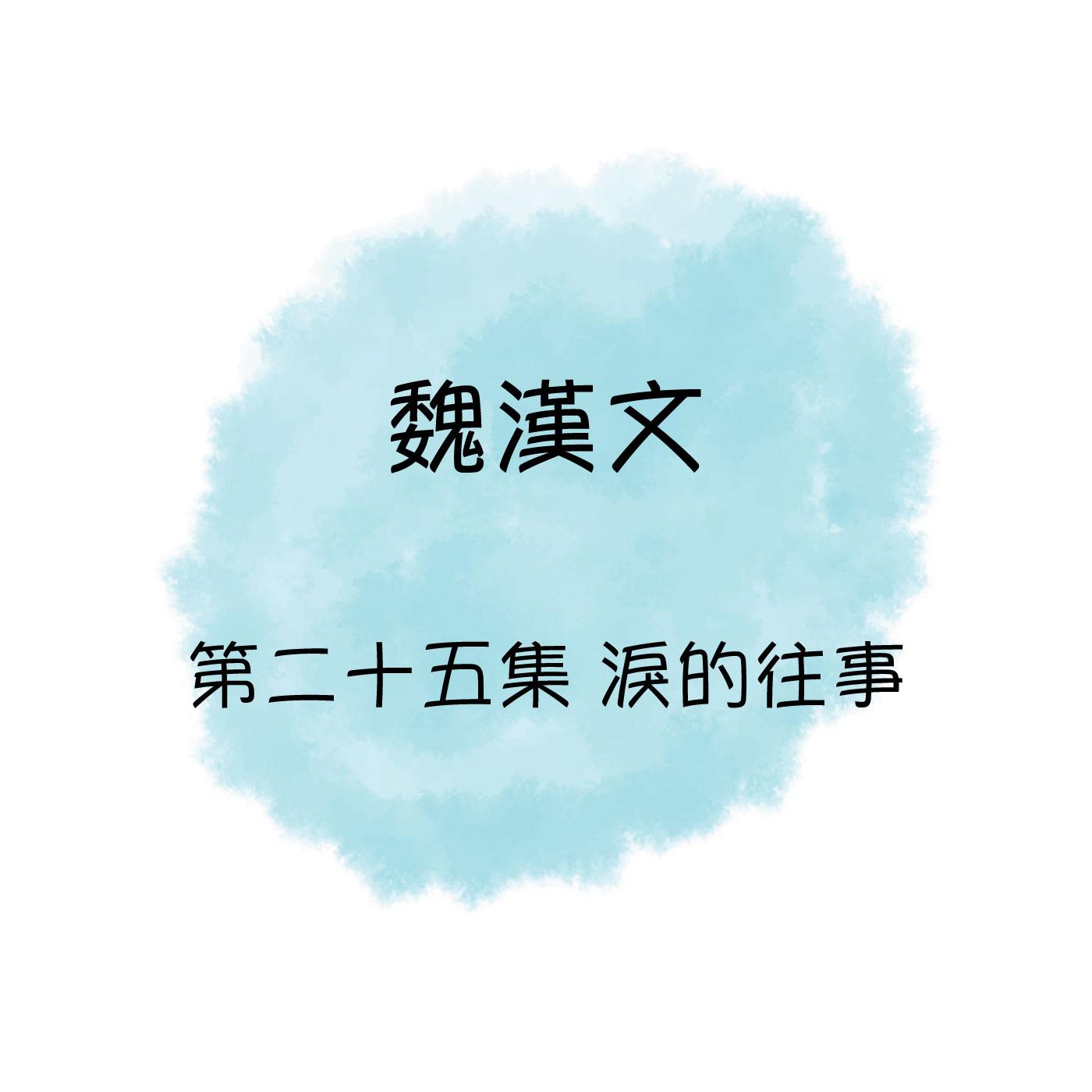 魏漢文 淚的往事, 第二十五集