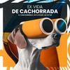 Dj Carlos Henrique - Ex Vida de Cachorrada