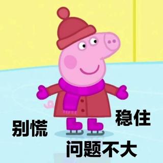 猪年不努力，啥都配不齐