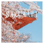 SAKURA#3