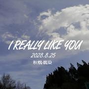 I REALLY LIKE YOU【装枫卖飒】