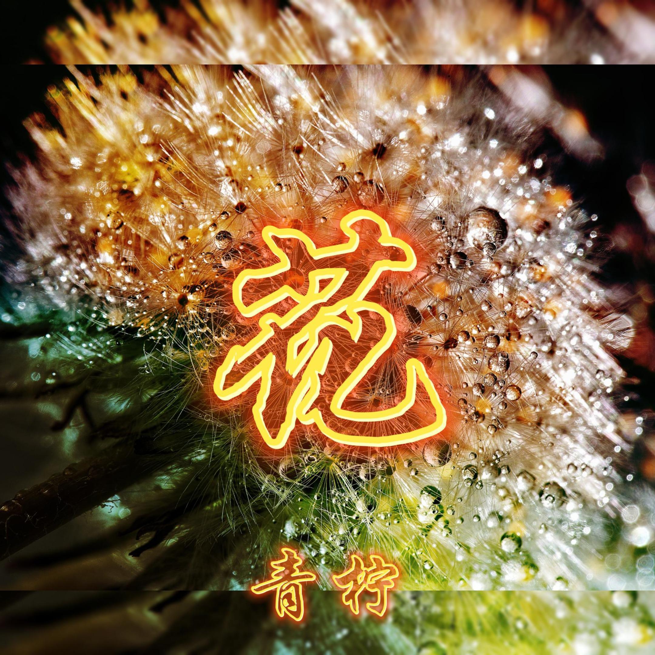 QINGNING - 平凡的花