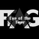 Eye of the Tiger Remix