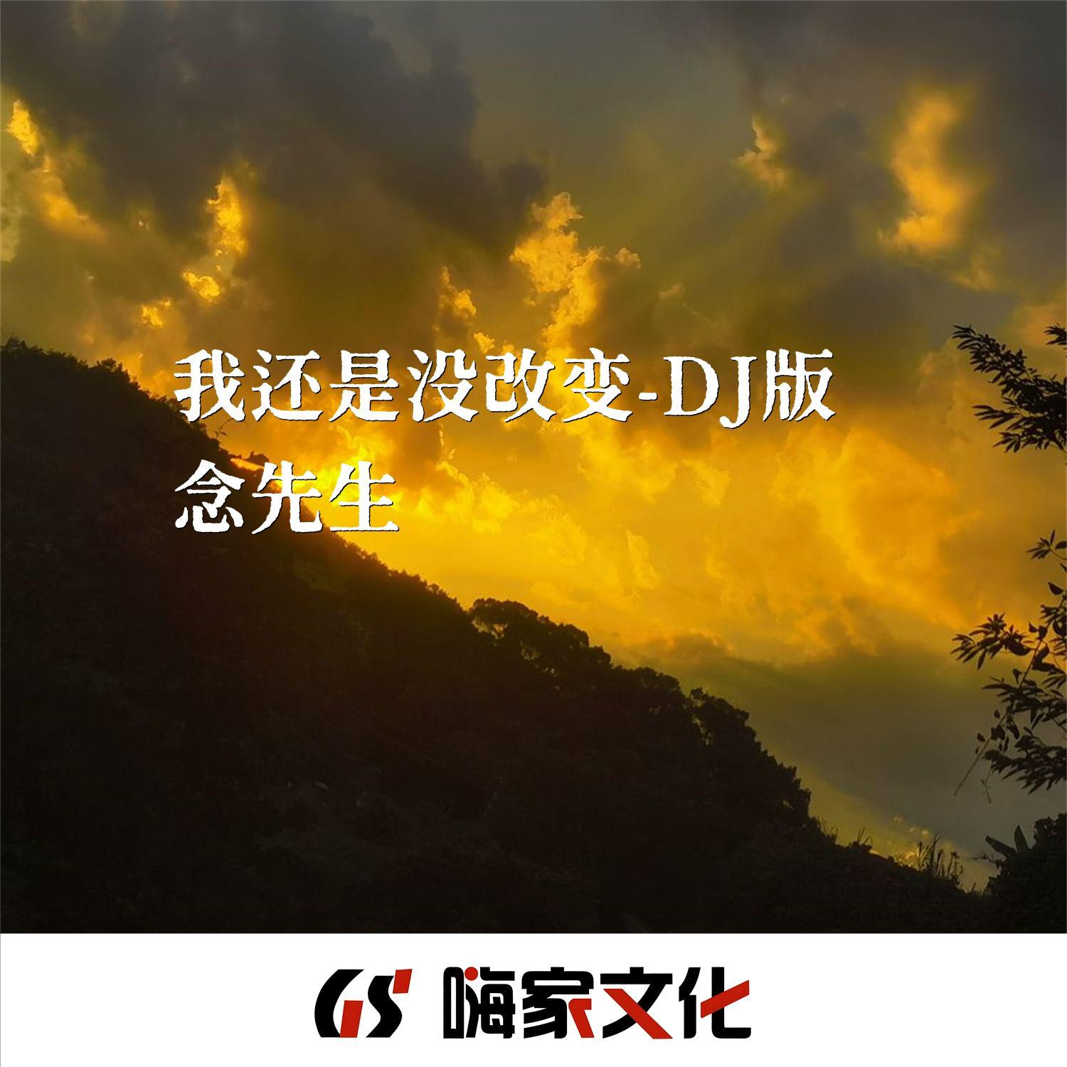 我还是没改变（DJ版）
