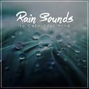 #19 Sounds of Rain to Calm your Mind and Relax专辑