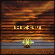 Scene of Life
