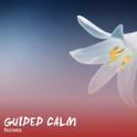 #19 Guided Calm Noises for Meditation and Sleep专辑