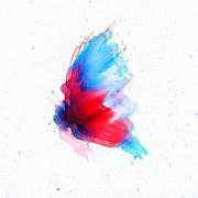 U Must Think I’m Lying Butterfly