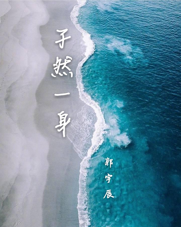 孑然一身专辑