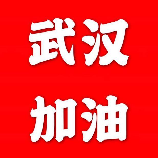 你是天使 致敬武汉医护人员
