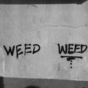 WEED专辑