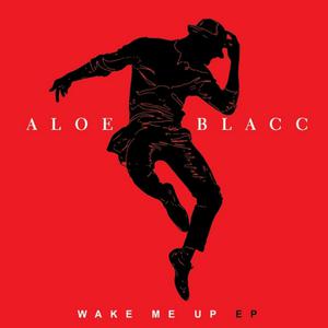 Aloe Blacc - Can You Do This （升6半音）