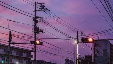 苗田雨