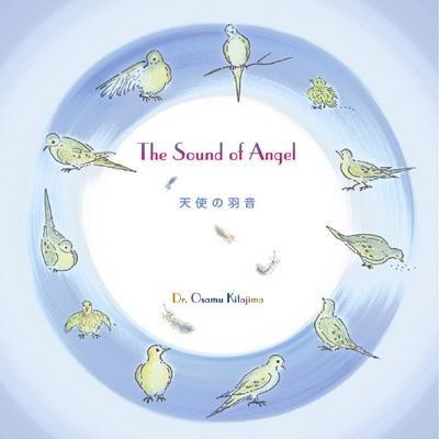 天使の羽音专辑