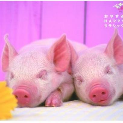 交响曲第9番ホ短调作品95(B.178)“新世界より” 第2楽章:ラルゴ