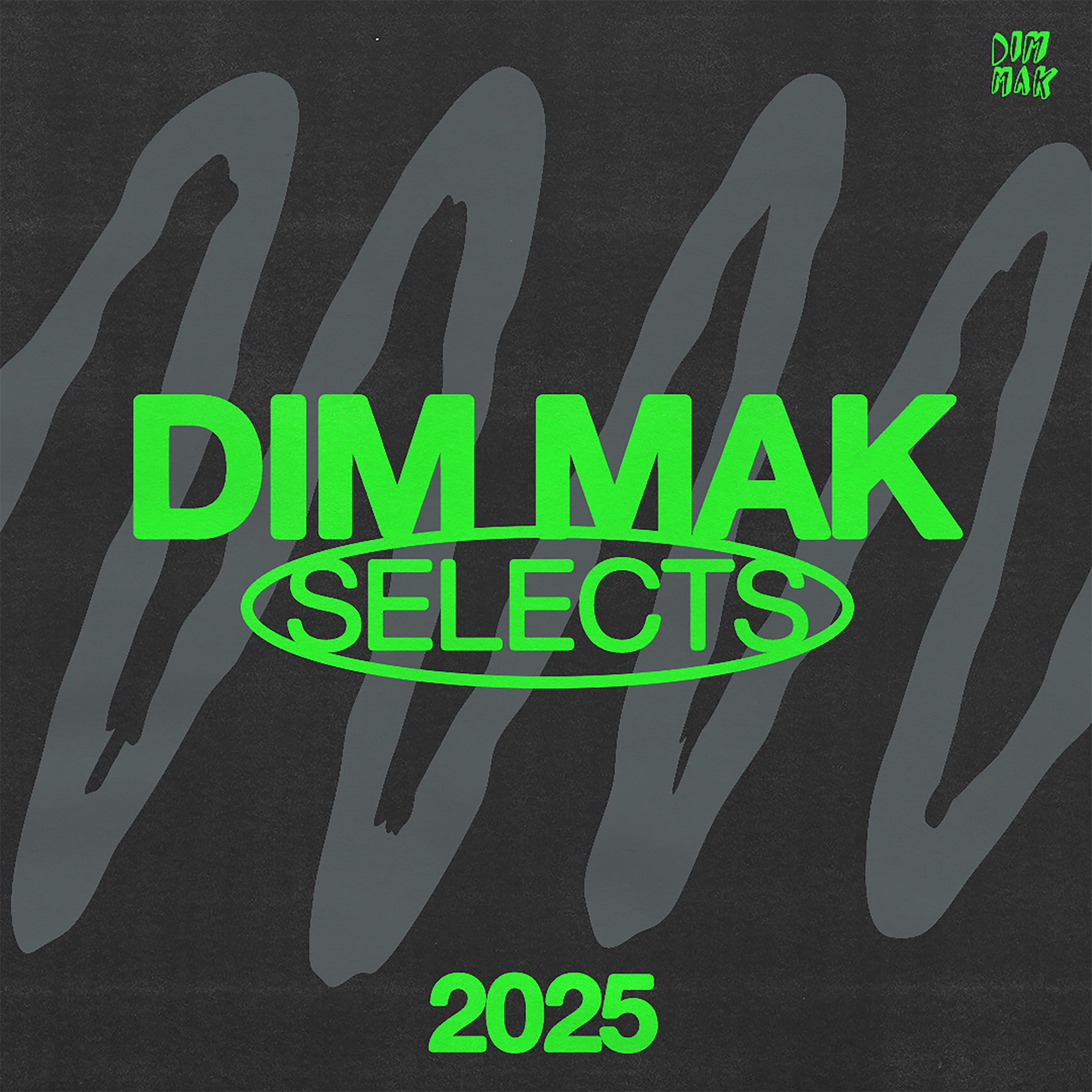 Dim Mak Selects: 2025 (Clean Mix)