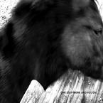 MONO《Where Am I吉他谱》C调_悠扬婉转的旋律