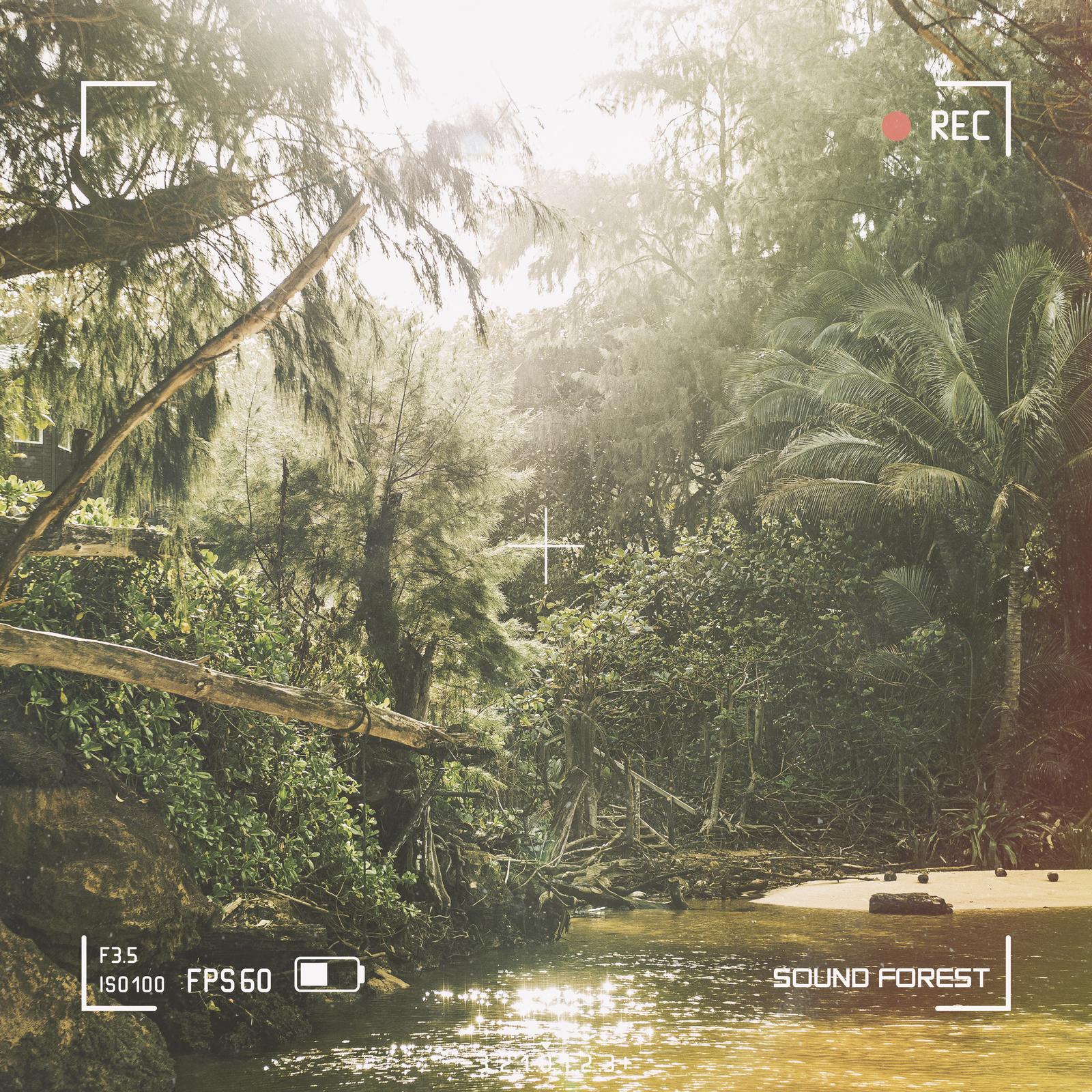 山林 (feat. ALL BGM CHANNEL)