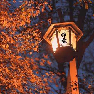 夜晚给你温柔