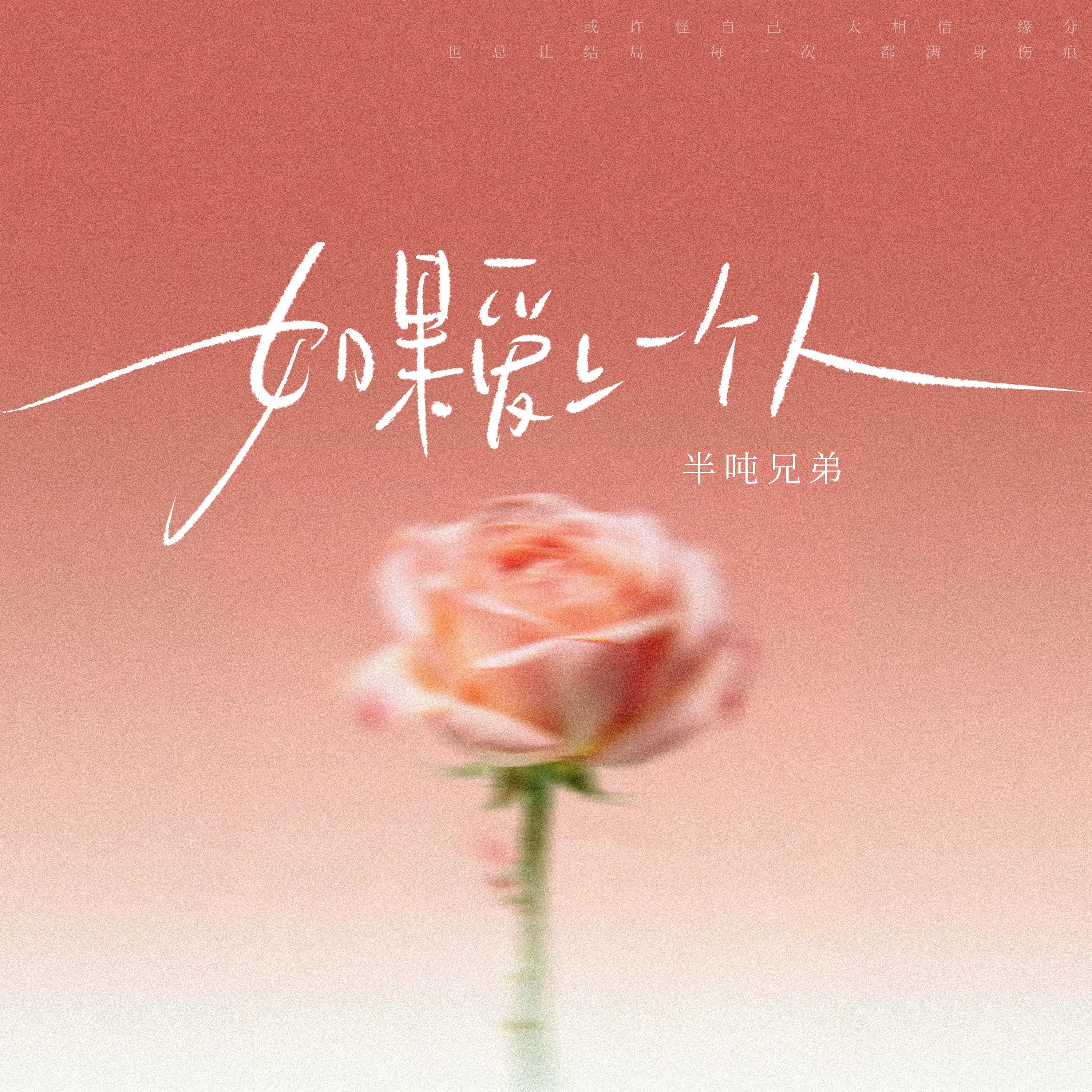 如果爱上一个人