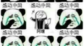 Move China专辑