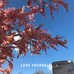 Justin Bieber-Love Yourself（CHENYI / SHENLE / GRABOTE remix）