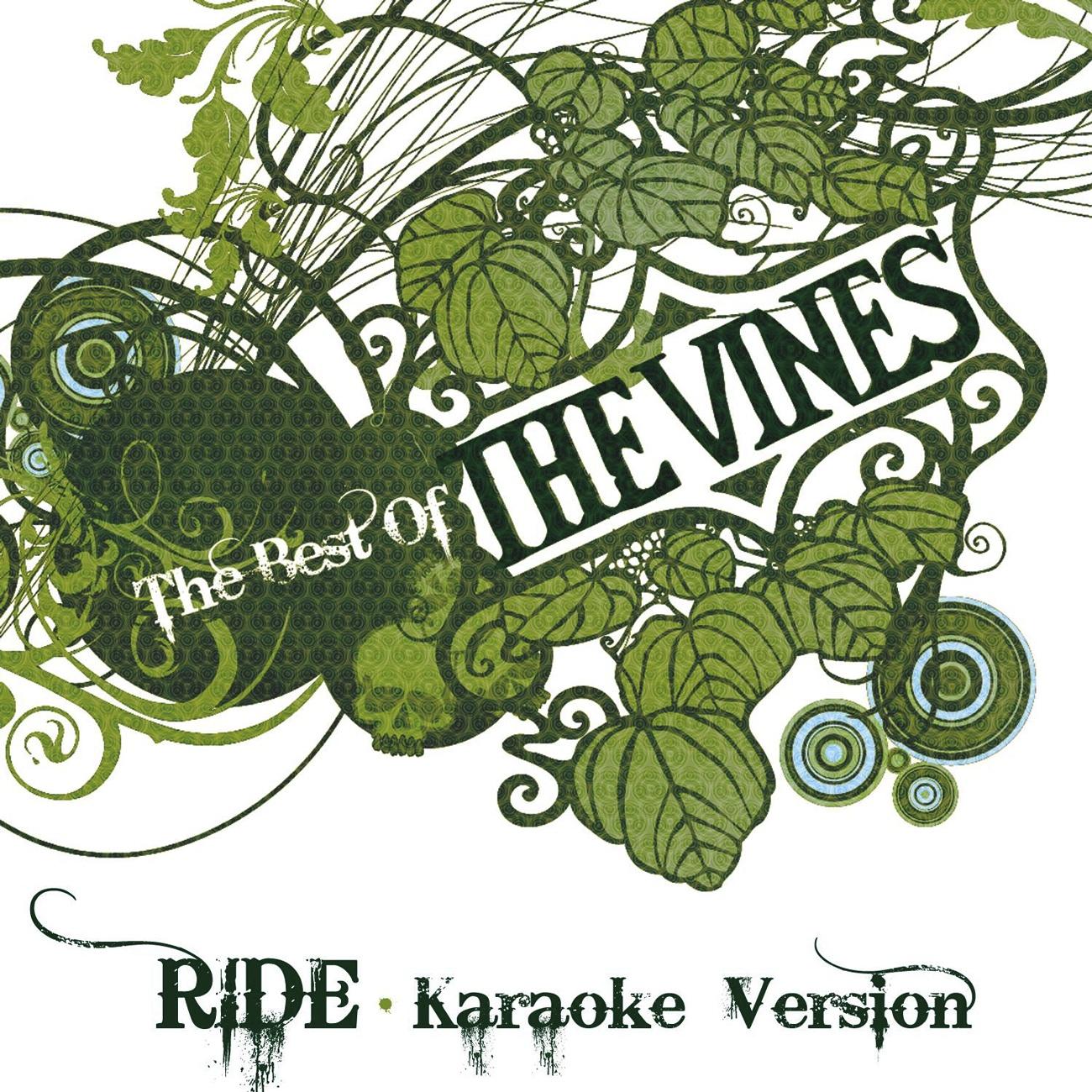 Ride (Karaoke Version)