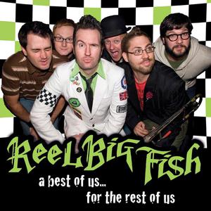 Beer - Reel Big Fish (Karaoke Version) 带和声伴奏 （升5半音）