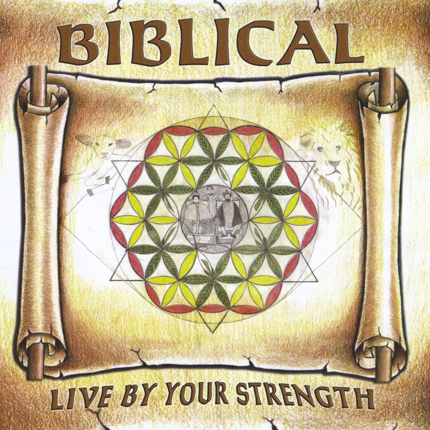 Live By Your Strength