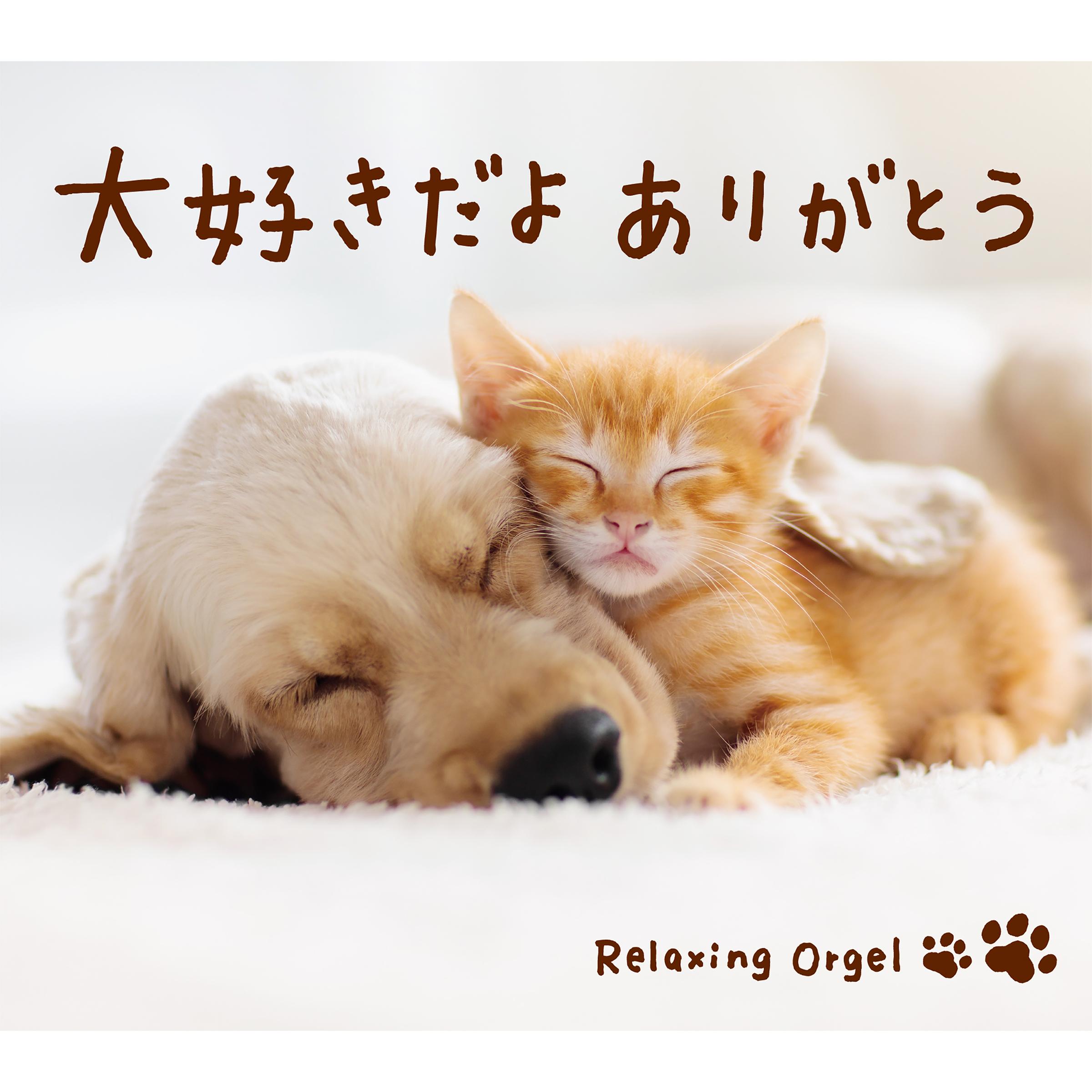 α波オルゴール～大好きだよ ありがとう
