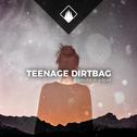 Teenage Dirtbag专辑