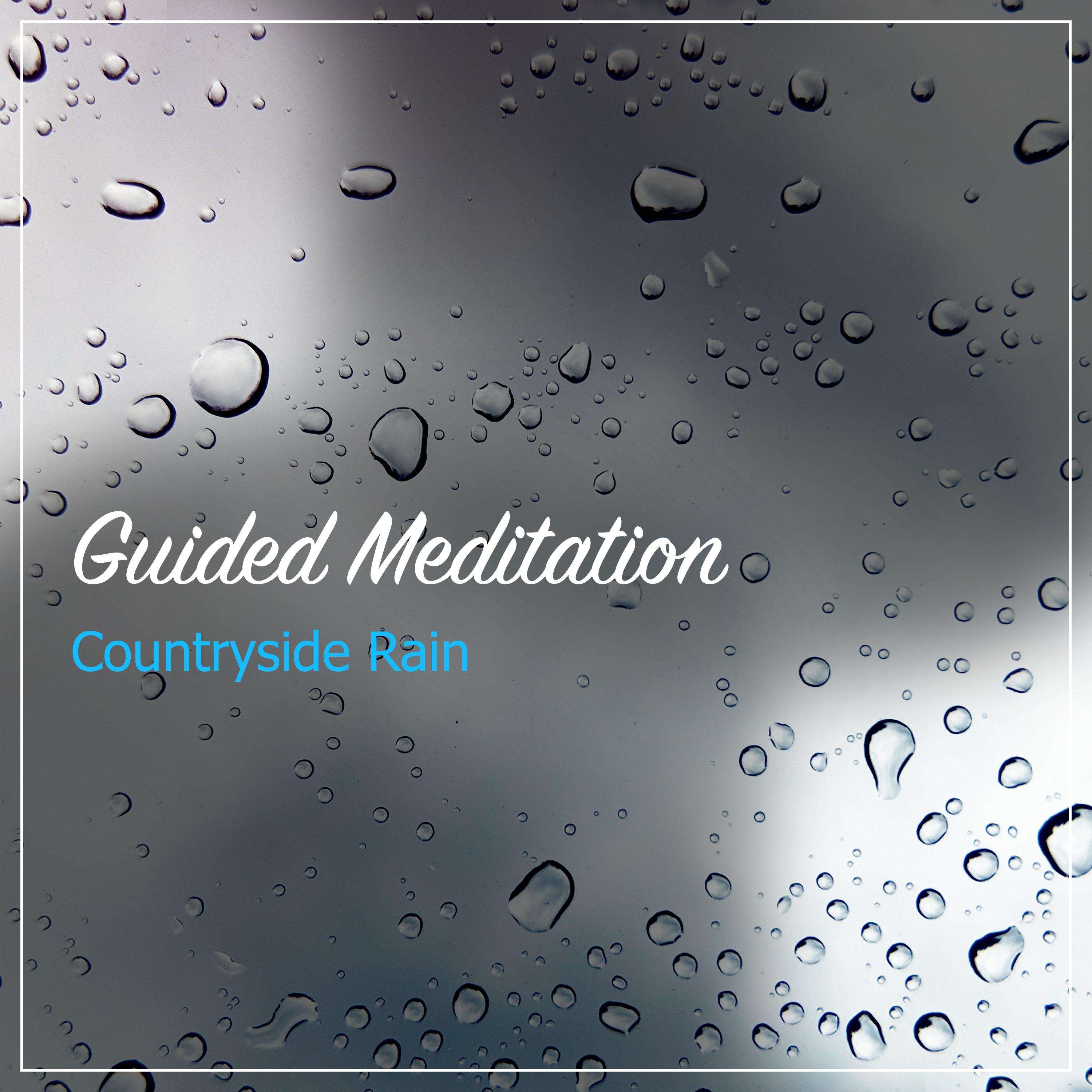 19 Mindfulness Rain Tracks for Spa专辑