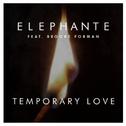 Temporary Love专辑