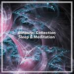 2018 A Binaural Collection: Sleep & Meditation专辑