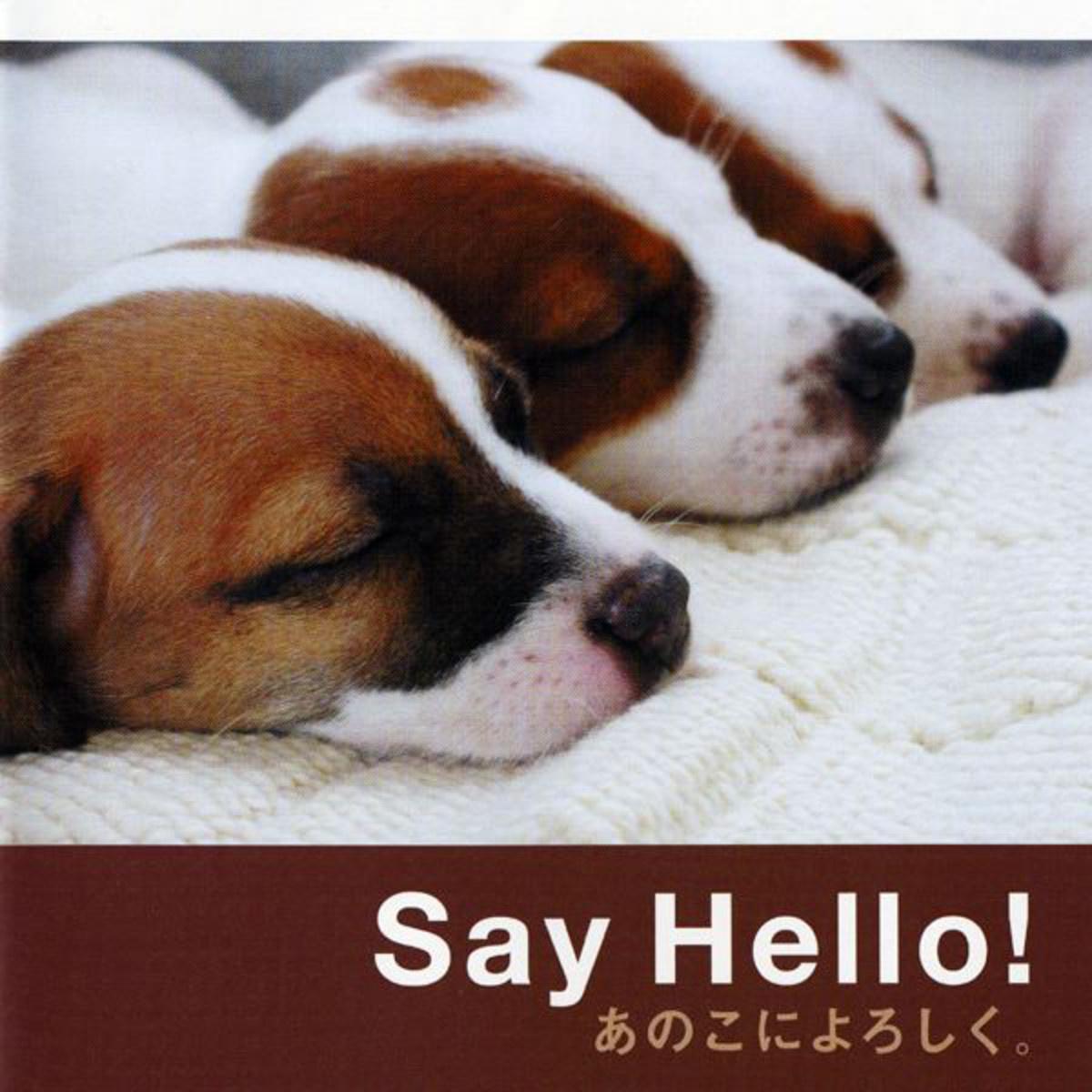 Say Hello! あのこによろしく。 オリジナル・サウンドトラック专辑