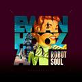 Robot Soul