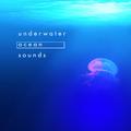 Underwater Ocean Sounds