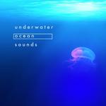 Underwater Ocean Sounds专辑