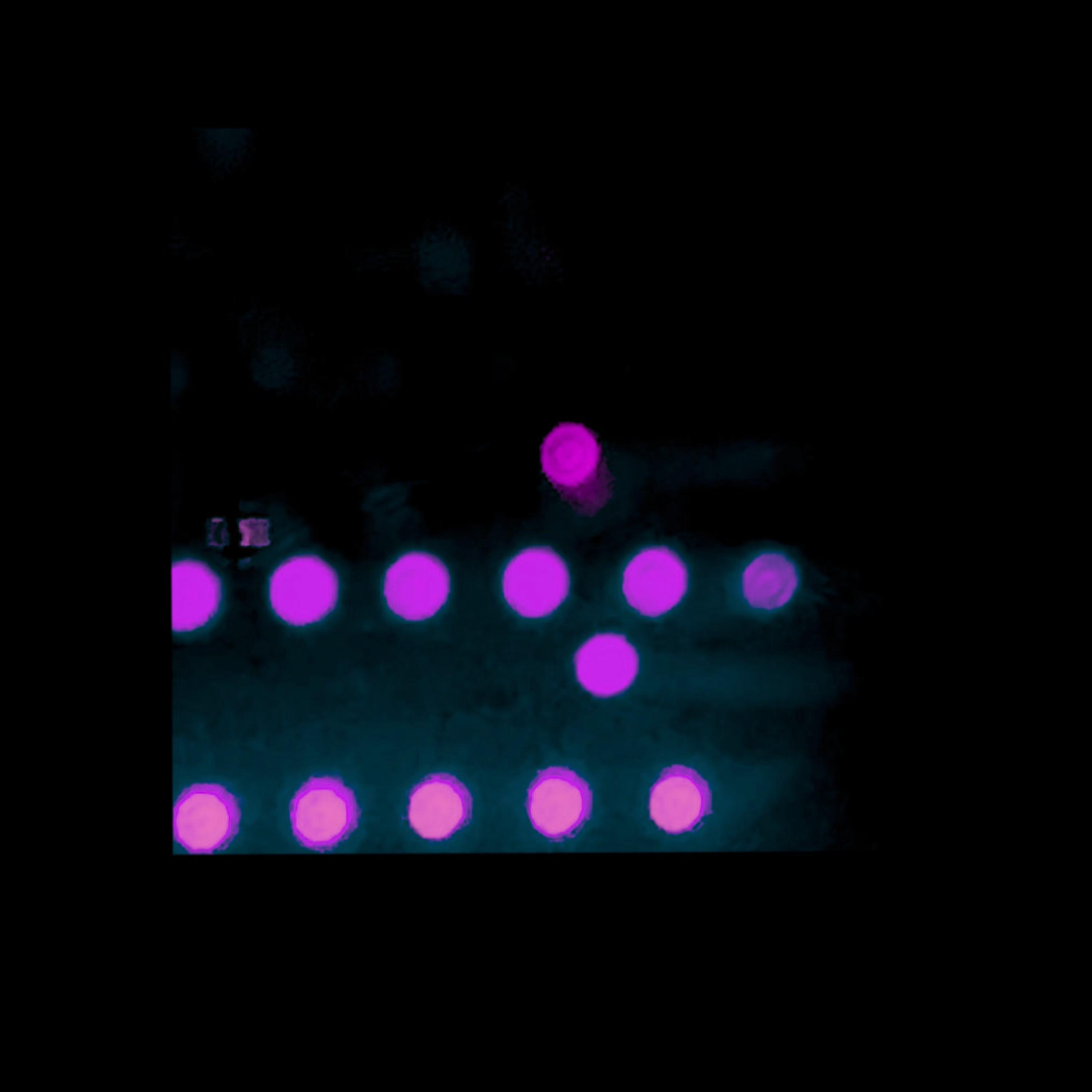 Untitled (feat. Flatly)