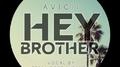 Hey Brother (TEEMID & Tessa Rose Jackson Cove) 专辑