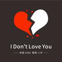 I Don't Love You专辑