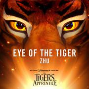 Eye of the Tiger (from The Tiger's Apprentice)