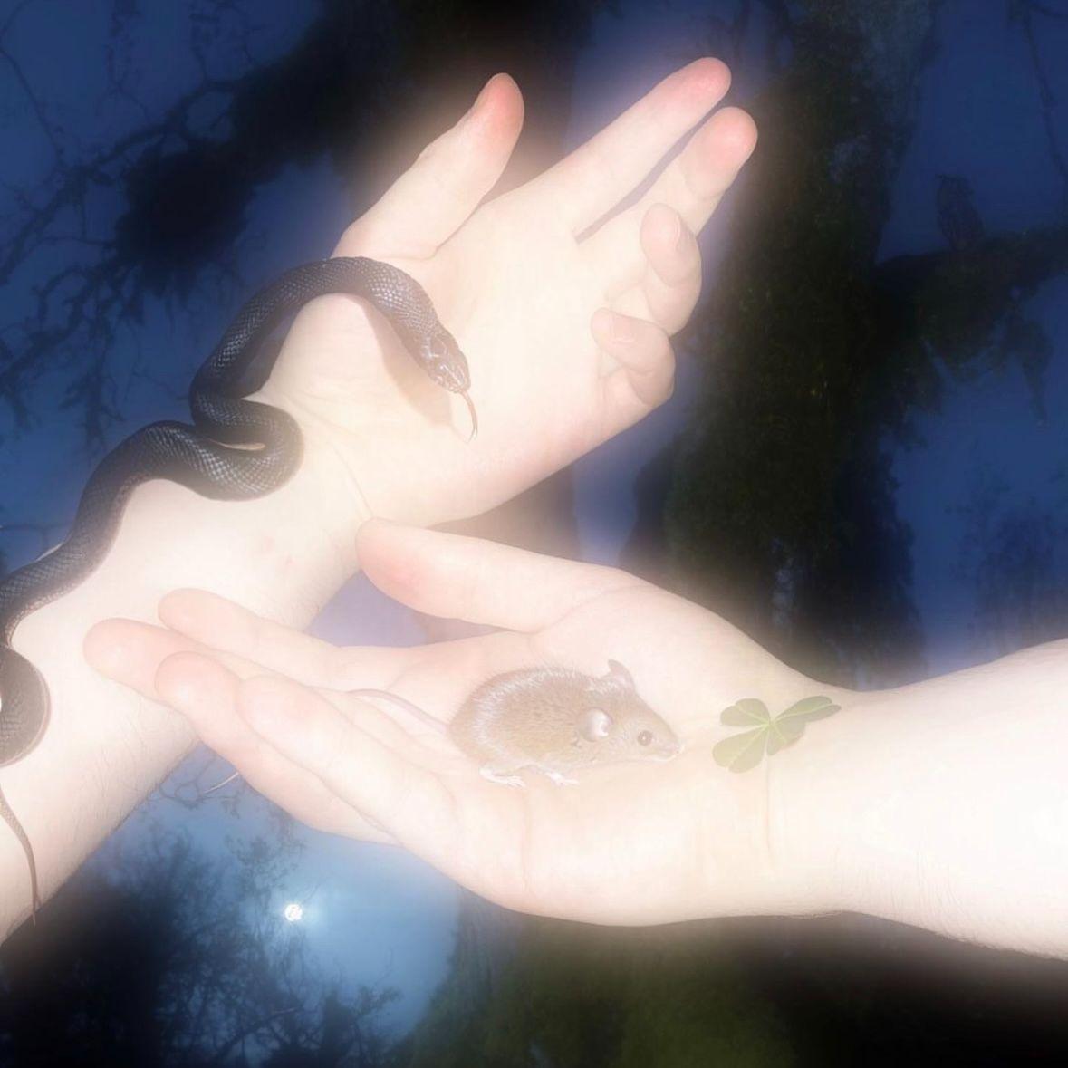 Welcome Midnight Club (ft.Yoanko Futura)