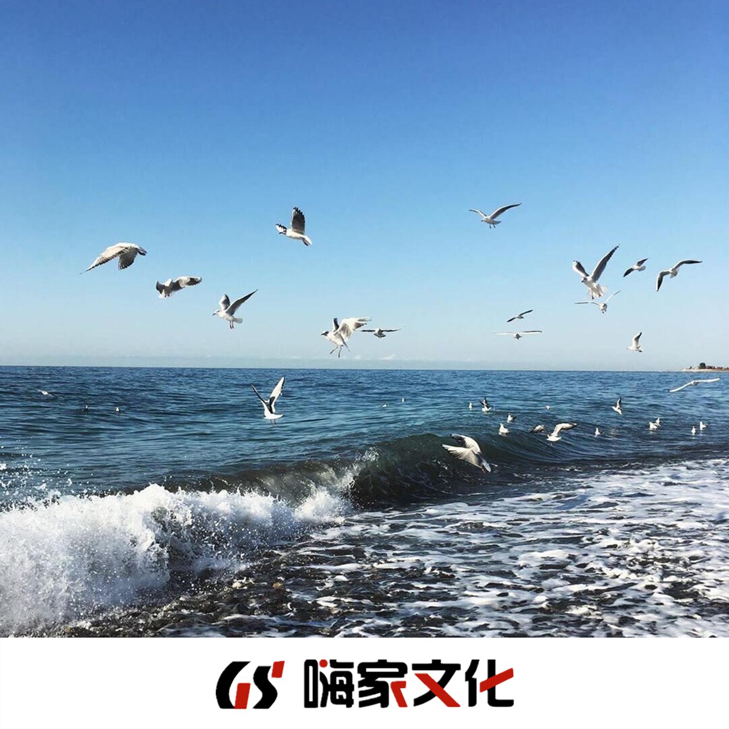 至少还有你