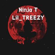 Ninja T [Prod.by HC Dawn]