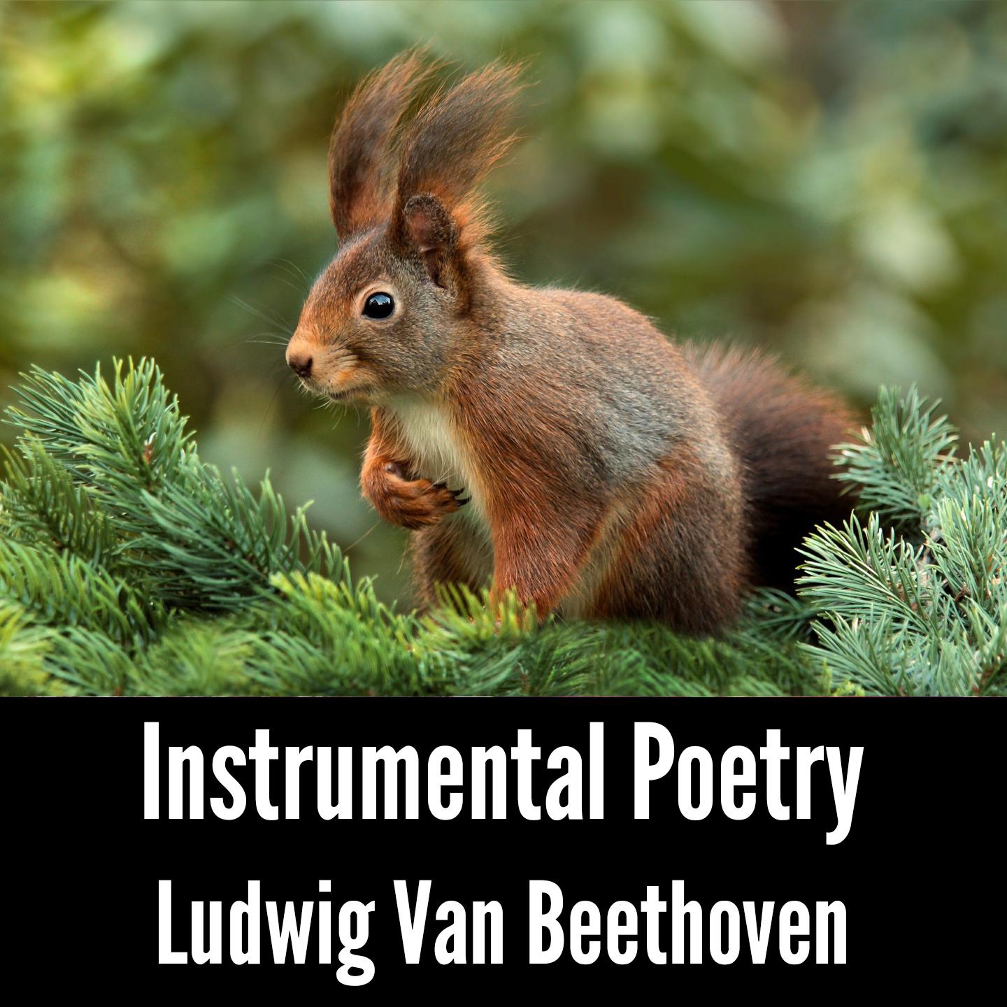 Instrumental Poetry: Ludwig Van Beethoven专辑