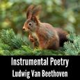 Instrumental Poetry: Ludwig Van Beethoven