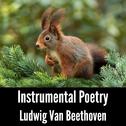 Instrumental Poetry: Ludwig Van Beethoven